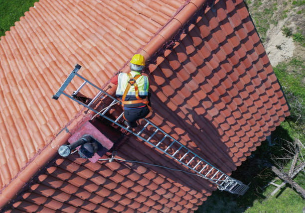 Best Roof Maintenance and Cleaning  in Orangevale, CA